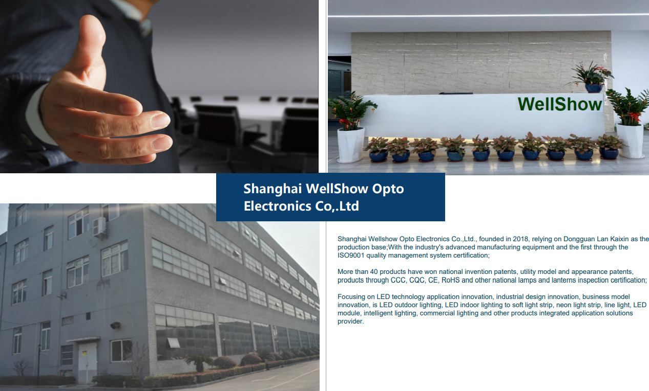 Shanghai Wellshow Opto Electronics Co., Ltd. 1YRS