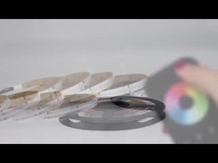 de geleide lichten van de maïskolfrgbw strook