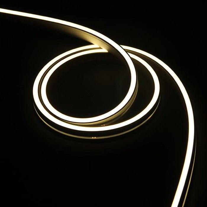 Binnen Openlucht LEIDENE Neonstrook Lichte 6W 8W 10W 12W 3000K 4000K