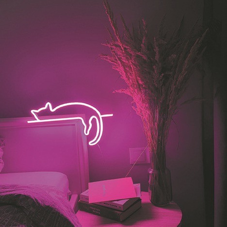 Het heldere Flexibele Neon LEIDENE Strook Lichte Silicone gelijkstroom 12V maakt Decoratief waterdicht