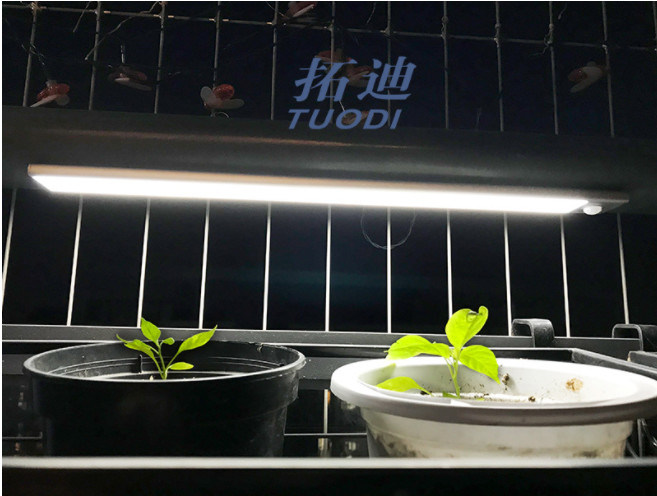 Van het draadloze Navulbare Flexibele LEIDENE van USB het Licht Bewegingssensorkabinet onder het Tegenlicht van de Kastverlichting