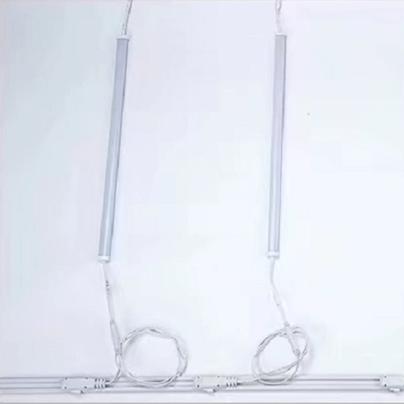 2 draden van het LEIDENE de Kleuren24v 12V LEIDEN Spoor Licht Spoor Zwart Machtsspoor